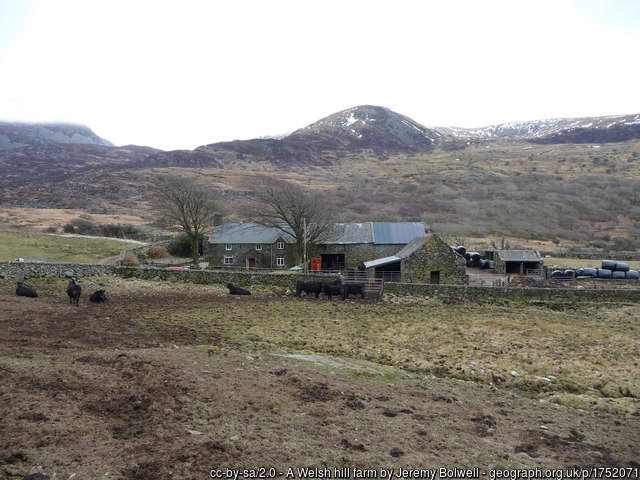 Welsh Hill Farm